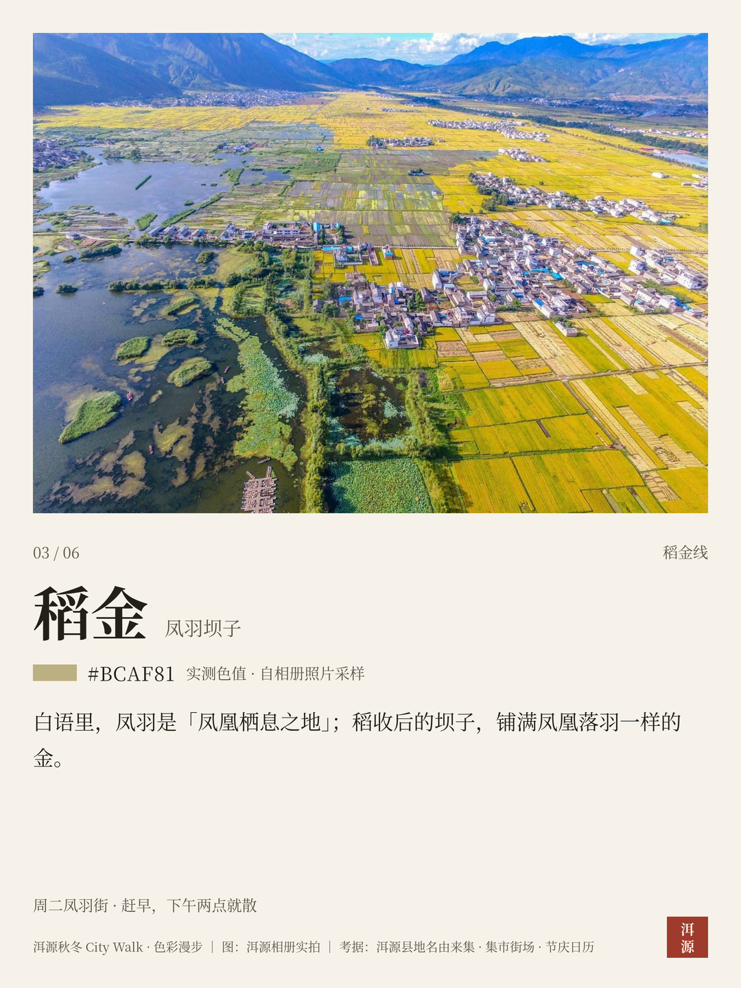 稻金 · 凤羽坝子：白语里凤凰栖息之地，稻收后的坝子铺满金