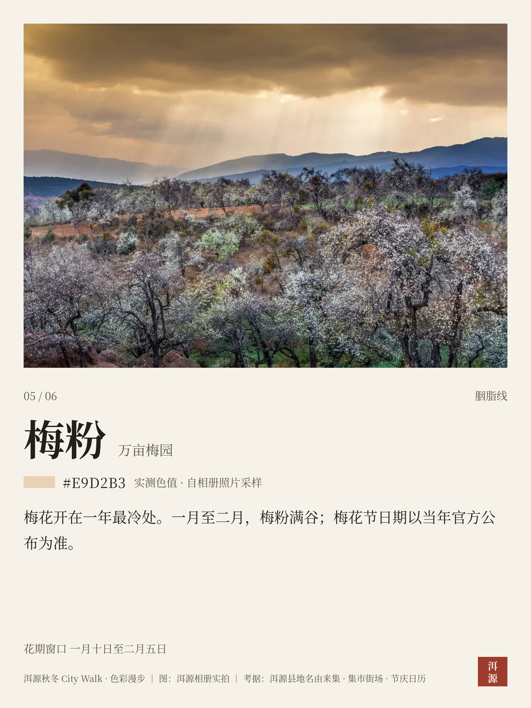 梅粉 · 万亩梅园：一月至二月梅粉满谷